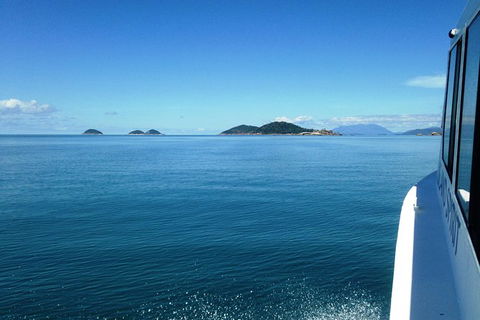 Fozzy\'s 3 Hour, 3 Island Tour - Accommodation Daintree 7