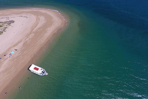 Fozzy\'s 3 Hour, 3 Island Tour - Accommodation Daintree 3