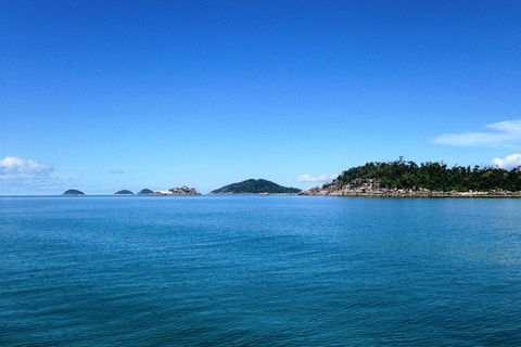Fozzy\'s 3 Hour, 3 Island Tour - Accommodation Daintree 2