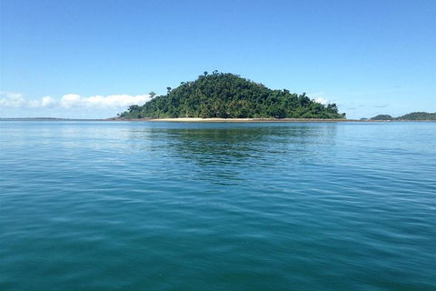 Fozzy\'s 3 Hour, 3 Island Tour - Accommodation Daintree 5