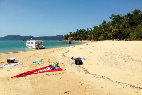 Fozzy\'s 3 Hour, 3 Island Tour - Accommodation Daintree 6