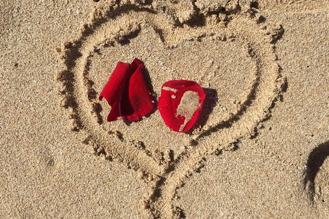 Elope In Paradise - Weddings At Mission Beach - Accommodation Daintree 3