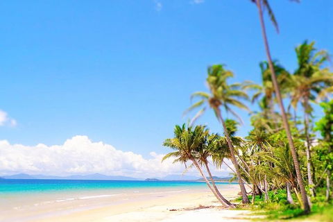 Airport Transfer - Mission Beach To Cairns Airport - Accommodation Daintree 3