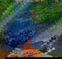 Private Tour - Rainforest  Waterfalls Extravaganza - Accommodation Daintree