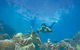 2Day 2 Night Sail, Snorkel & SUP Adventure Whitsundays Single - thumb 8