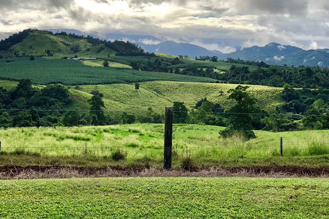 Tableland Tasting Tour - Accommodation Daintree 0