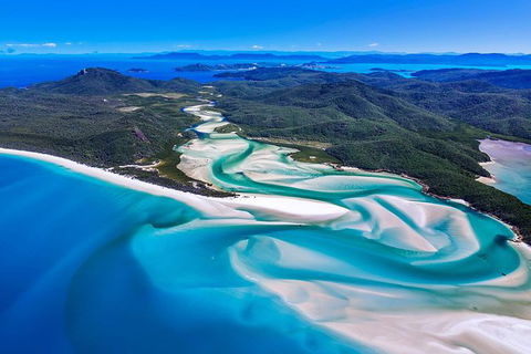 Adventure Fishing Combo Day - Fish, Swim, Whitehaven, Hill Inlet Bush Walking - Accommodation Daintree 9