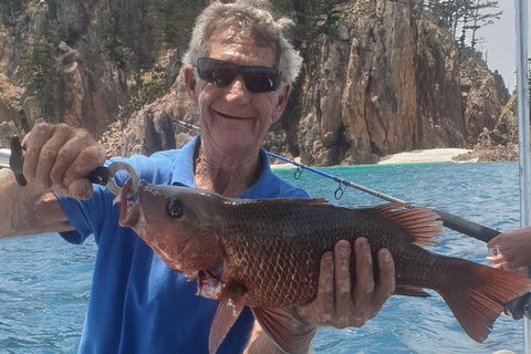 Adventure Fishing Combo Day - Fish, Swim, Whitehaven, Hill Inlet Bush Walking - Accommodation Daintree 10