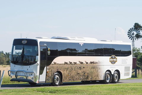 Winton Discovery Day Tour - Accommodation Daintree 4