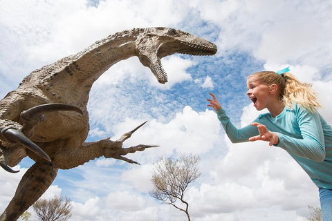 Winton Discovery Day Tour - Accommodation Daintree 0