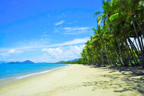 Airport Transfer - Palm Cove, Kewarra Beach & Trinity Beach To Cairns Airport - Accommodation Daintree 2