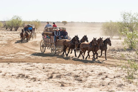 Cobb And Co Stagecoach Experience - Accommodation Daintree 4