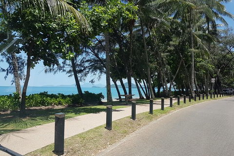 Private Transfers - Cairns Airport To Palm Cove - Accommodation Daintree 6