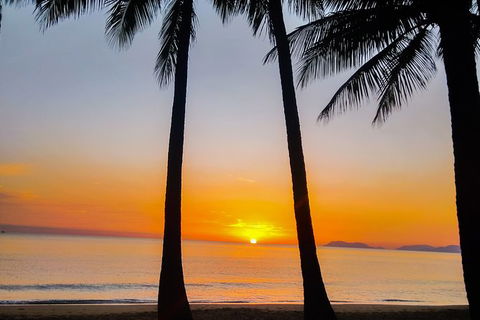 Private Transfers - Cairns Airport To Palm Cove - Accommodation Daintree 9
