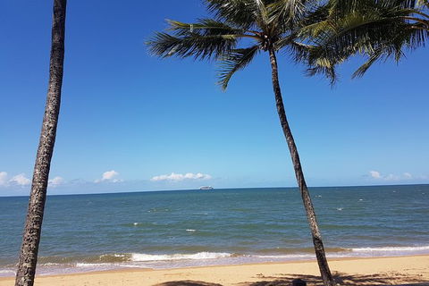 Private Transfers - Cairns Airport To Palm Cove - Accommodation Daintree 8