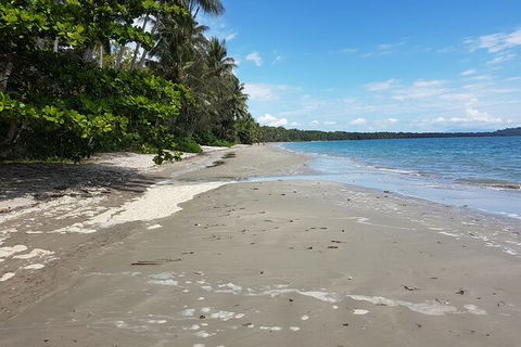 Private Transfers - Cairns Airport To Palm Cove - Accommodation Daintree 1