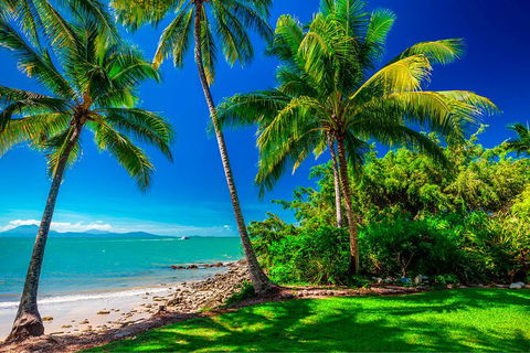 SHUTTLE - Port Douglas And Craiglie Return Transfer - Accommodation Daintree 2