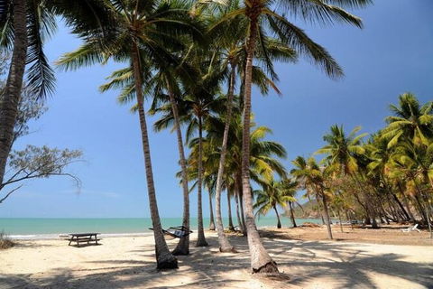 SHUTTLE - Thala Beach And Turtle Cove From Port Douglas (Return Transfer) - Accommodation Daintree 2