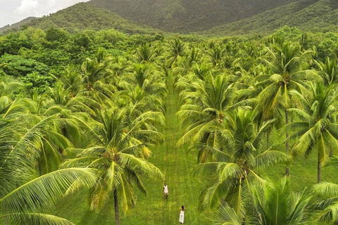 SHUTTLE - Thala Beach And Turtle Cove From Port Douglas (Return Transfer) - Accommodation Daintree 1