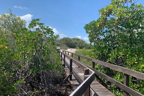 Hinchinbrook Island Tour - Accommodation Daintree 4