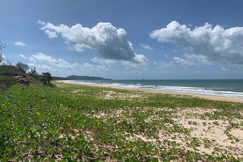 Hinchinbrook Island Tour - Accommodation Daintree 5