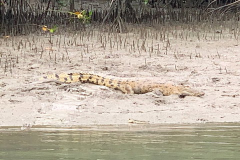Hinchinbrook Island Tour - Accommodation Daintree 2