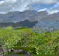 Hinchinbrook Island Tour - Accommodation Daintree