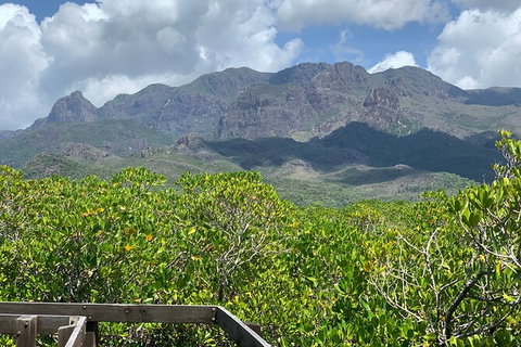 Hinchinbrook Island Tour - Accommodation Daintree 0