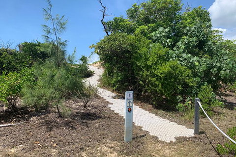 Hinchinbrook Island Tour - Accommodation Daintree 1