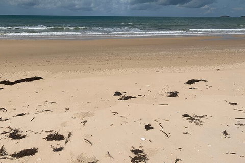 Hinchinbrook Island Tour - Accommodation Daintree 6