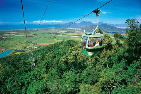 Day Tour To Kuranda, Rainforest And Port Douglas With Flight - Accommodation Daintree 5