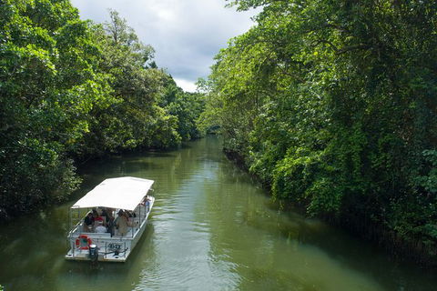 World Heritage Highlights: Reef/Daintree/Cape Tribulation - Accommodation Daintree 1