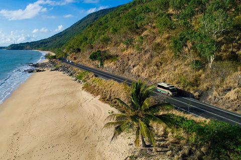 World Heritage Highlights: Reef/Daintree/Cape Tribulation - Accommodation Daintree 5