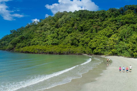 World Heritage Highlights: Reef/Daintree/Cape Tribulation - Accommodation Daintree 12
