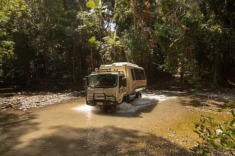 World Heritage Highlights: Reef/Daintree/Cape Tribulation - Accommodation Daintree 6
