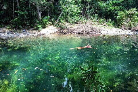 World Heritage Highlights: Reef/Daintree/Cape Tribulation - Accommodation Daintree 4