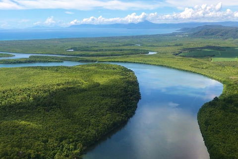 World Heritage Highlights: Reef/Daintree/Cape Tribulation - Accommodation Daintree 8