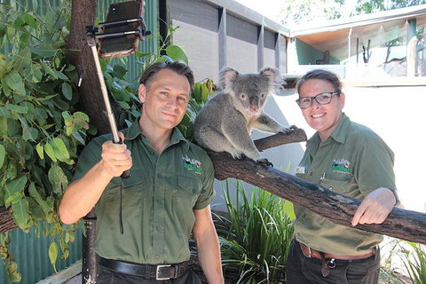 Virtual Interactive Australian Wildlife Tour With Private Guide-Wildlife Habitat - Accommodation Daintree 4