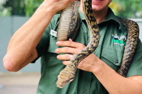 Virtual Interactive Australian Wildlife Tour With Private Guide-Wildlife Habitat - Accommodation Daintree 3