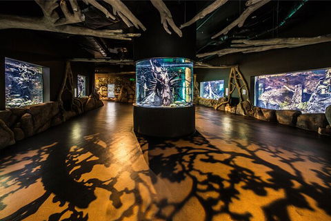 Cairns Aquarium Tour By Twilight With Drink And Appetiser - Accommodation Daintree 4