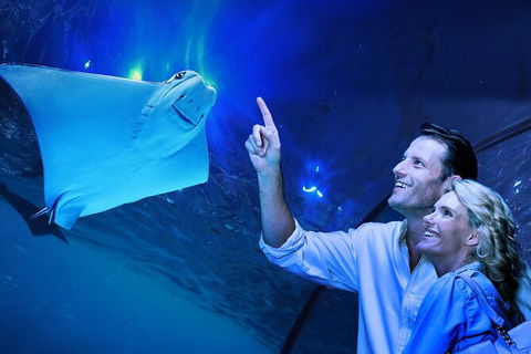 Cairns Aquarium Tour By Twilight With Drink And Appetiser - Accommodation Daintree 0