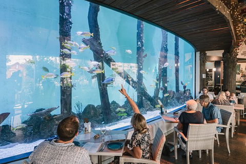 Cairns Aquarium Tour By Twilight With Drink And Appetiser - Accommodation Daintree 1