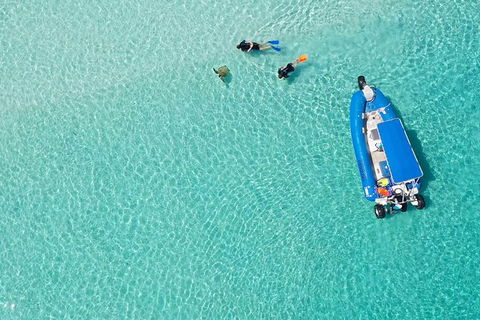 Remote Fraser Island & Whale Experience - Accommodation Daintree 0