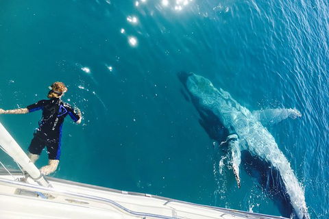 Remote Fraser Island & Whale Experience - Accommodation Daintree 4