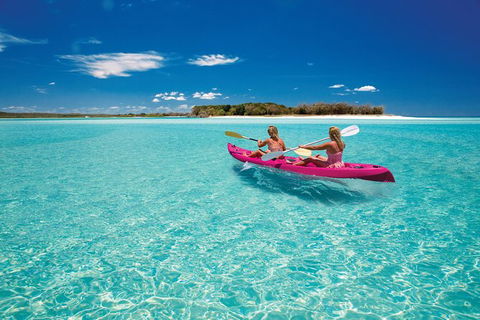 Remote Fraser Island & Whale Experience - Accommodation Daintree 5