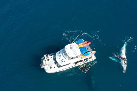 Remote Fraser Island & Whale Experience - Accommodation Daintree 1