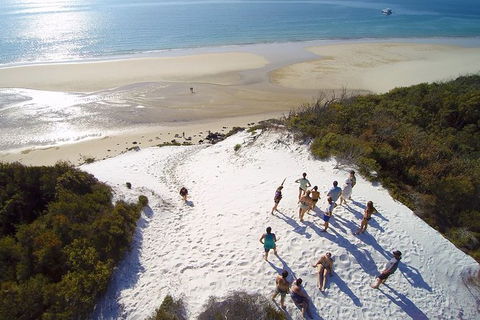 Remote Fraser Island & Whale Experience - Accommodation Daintree 2
