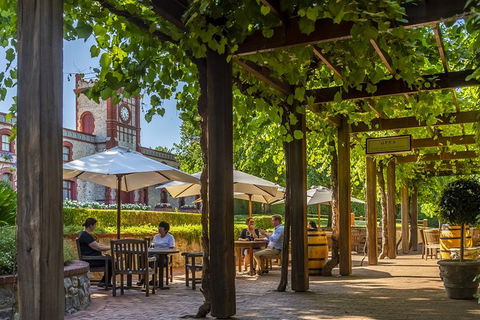 Yalumba Nursery & Grenache Discovery Tour + Platter Lunch - Accommodation Daintree 4