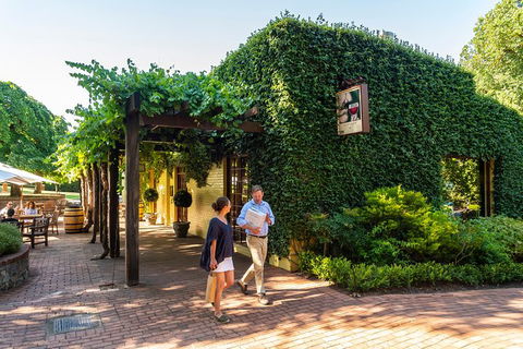 Yalumba Nursery & Grenache Discovery Tour + Platter Lunch - Accommodation Daintree 3