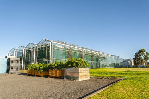 Yalumba Nursery & Grenache Discovery Tour + Platter Lunch - Accommodation Daintree 5